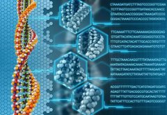 解密生命的物質(zhì)基礎(chǔ)——蛋白質(zhì)