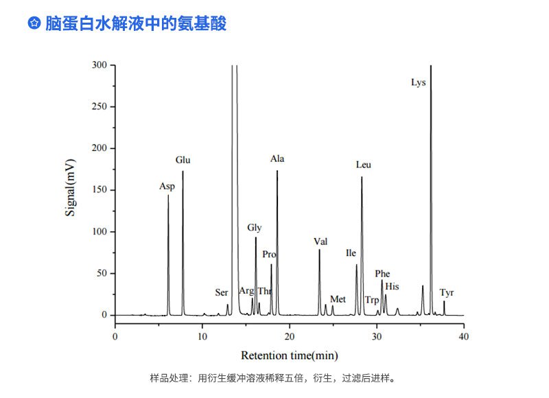 腦蛋白水解液中的氨基酸